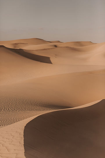 Desert dunes landscape